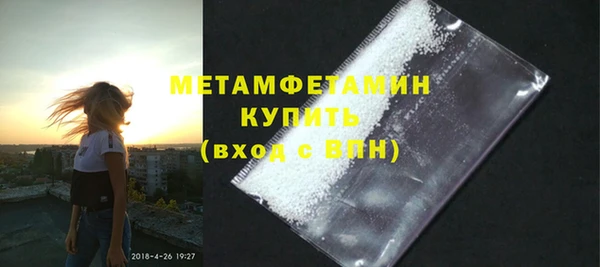 прущие грибы Бронницы
