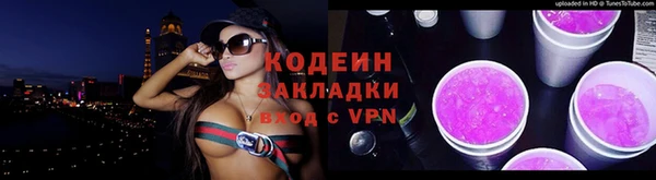 прущие грибы Бронницы