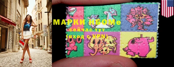 прущие грибы Бронницы