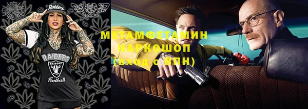 прущие грибы Бронницы