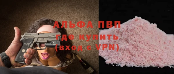 прущие грибы Бронницы