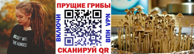 Купить закладки  Лодейное Поле  Псилоцибиновые грибы прущие грибы 